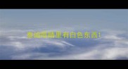 泰迪眼睛里有白色东西