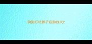 狗狗打针脖子后肿好大