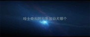 哈士奇和阿拉斯加幼犬哪个