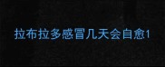 拉布拉多感冒几天会自愈