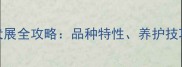 西敏寺拉布拉多犬展全攻略品种特性养护技巧与互动体验指南