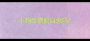 小狗生病能自愈吗