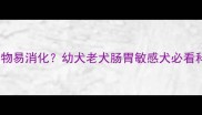 狗狗吃什么食物易消化幼犬老犬肠胃敏感犬必看科学饮食指南