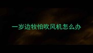 一岁边牧怕吹风机怎么办