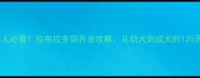 锦州养宠人必看拉布拉多饲养全攻略从幼犬到成犬的120天成长日记