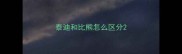 泰迪和比熊怎么区分