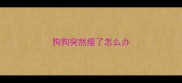 狗狗突然瘦了怎么办