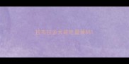 拉布拉多犬能吃蛋黄吗