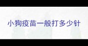小狗疫苗一般打多少针