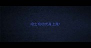 哈士奇幼犬身上臭