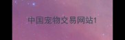 中国宠物交易网站