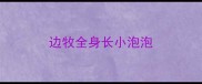 边牧全身长小泡泡
