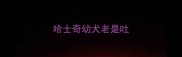 哈士奇幼犬老是吐