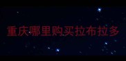 重庆哪里购买拉布拉多