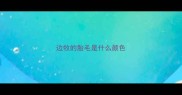 边牧的胎毛是什么颜色