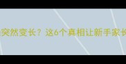 拉布拉多犬耳朵突然变长这6个真相让新手家长秒变养宠专家