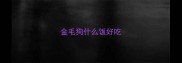金毛狗什么饭好吃