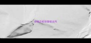 宠物店能给猫驱虫吗