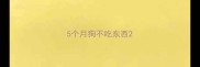 5个月狗不吃东西