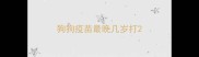 狗狗疫苗最晚几岁打