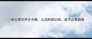 哈士奇饲养全攻略从选购到训练新手必看指南