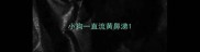 小狗一直流黄鼻涕