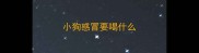 小狗感冒要喝什么