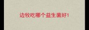边牧吃哪个益生菌好