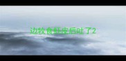 边牧食虾皮后吐了