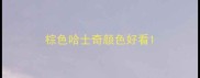 棕色哈士奇颜色好看