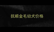 抚顺金毛幼犬价格