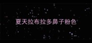 夏天拉布拉多鼻子粉色