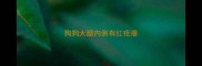 狗狗大腿内侧有红疙瘩