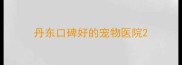 丹东口碑好的宠物医院