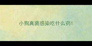 小狗真菌感染吃什么药