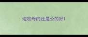 边牧母的还是公的好
