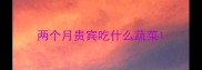 两个月贵宾吃什么蔬菜