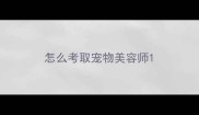 怎么考取宠物美容师