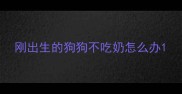 刚出生的狗狗不吃奶怎么办