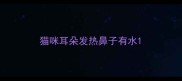 猫咪耳朵发热鼻子有水
