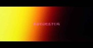 泰迪可以吃瓜子仁吗