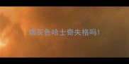 烟灰色哈士奇失格吗