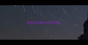 拉布拉多照片大全可爱