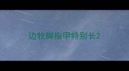 边牧脚指甲特别长