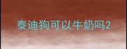 泰迪狗可以牛奶吗
