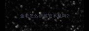 金毛怎么训练它不乱叫
