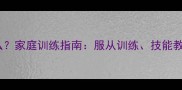 拉布拉多犬能教会什么家庭训练指南服从训练技能教学及性格培养全攻略