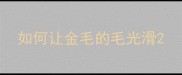 如何让金毛的毛光滑