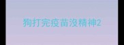狗打完疫苗沒精神