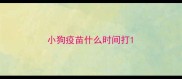 小狗疫苗什么时间打